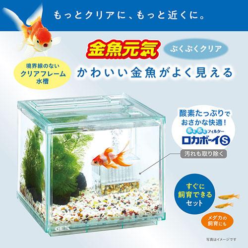 GEX（ジェックス） 水槽セット 金魚元気 ぶくぶくクリア 200 CUBE