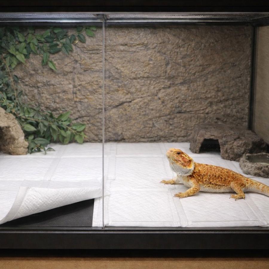 ペットシーツ レギュラー ハーフ 160枚入 ファインドッグ 常陸化工 | 常陸化工 | 05