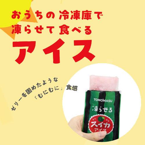 友桝飲料 果実アイス スイカ 80g 12個 パウチタイプ : ドラッグ