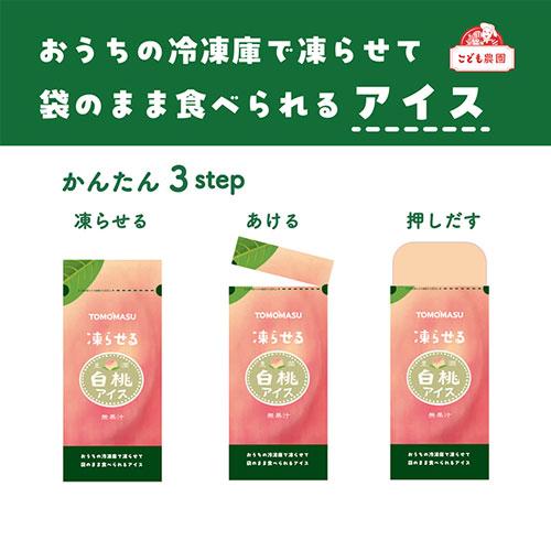 友桝飲料 果実アイス スイカ 80g 12個 パウチタイプ : ドラッグ