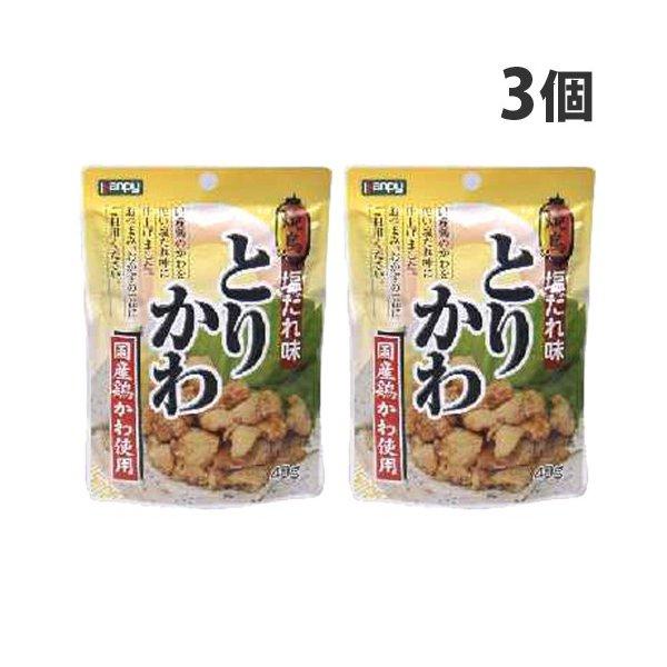 加藤産業 カンピー とりかわ塩だれ味 40g×3個｜alude