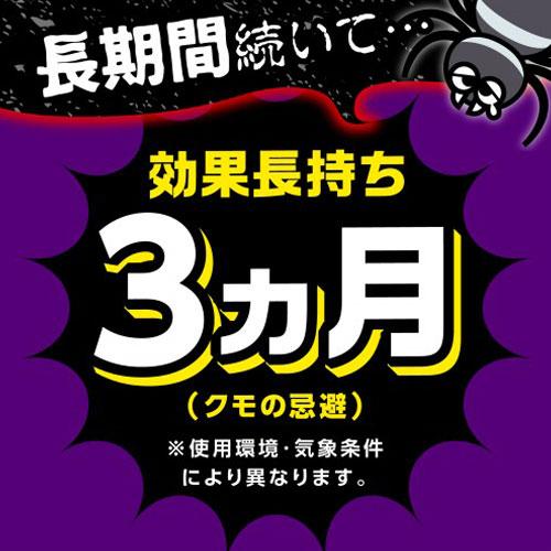 アース製薬 クモの巣消滅 1プッシュ式スプレー 60回分 クモ 蜘蛛 駆除 予防 侵入防止 退治 スプレー 屋内 屋外｜alude｜06