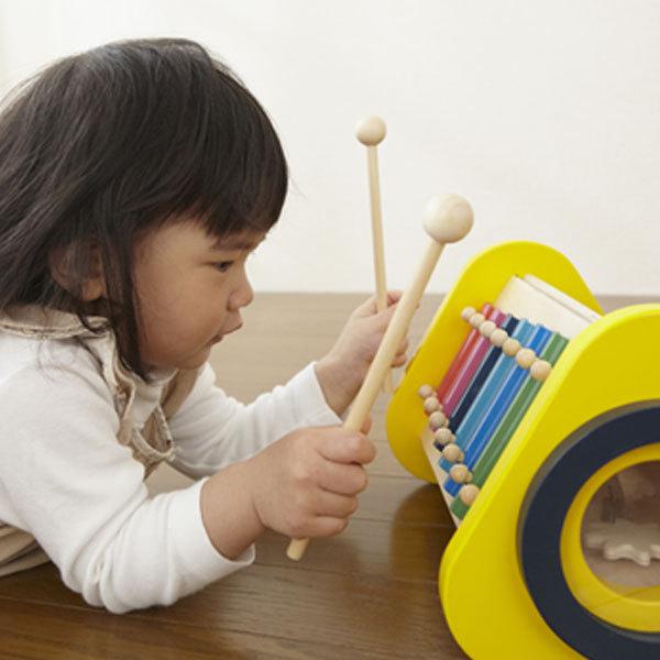 知育玩具 森の音楽会 1歳 2歳 3歳 男の子 女の子 誕生日 プレゼント 誕生日プレゼント エド インター Ed Inter Aed ウィル ウッド 通販 Yahoo ショッピング