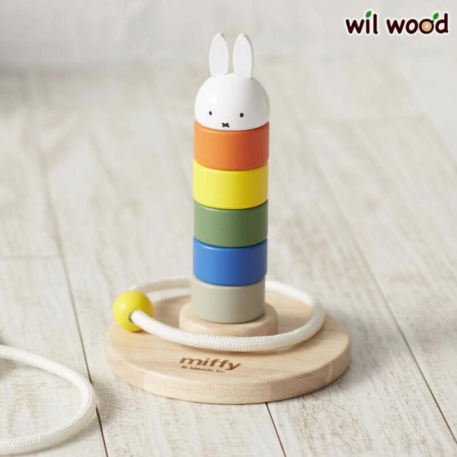 NICHIGAN（ニチガン） 知育玩具 かさねてリングトス ディック