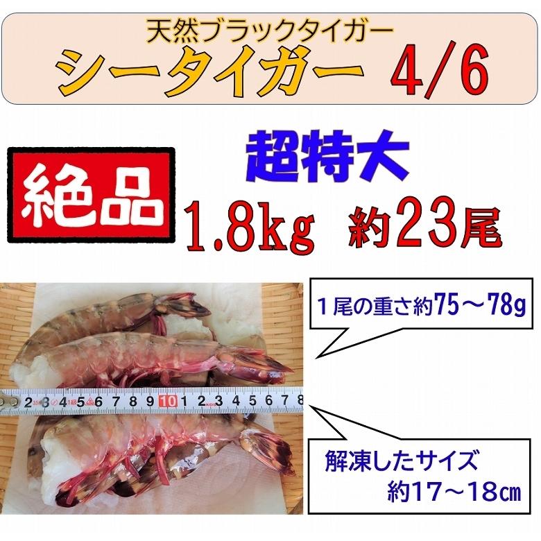 爆買 海老 シータイガー海老 特大サイズ クルマエビ科 天然海老 4/6 約23尾 1.8kg 冷凍 ぷりぷり ブラックタイガー ギフト プレゼント_1