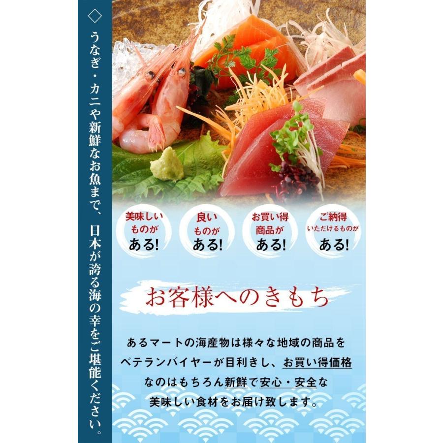 しらす 生シラス 釜揚げしらす 4年保証 100g数量お好み10パック 静岡名産 送料無料
