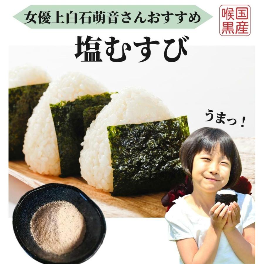 ほたてだし塩 160g 2袋セット だし塩 だし 塩 出汁 出汁塩 万能調味料