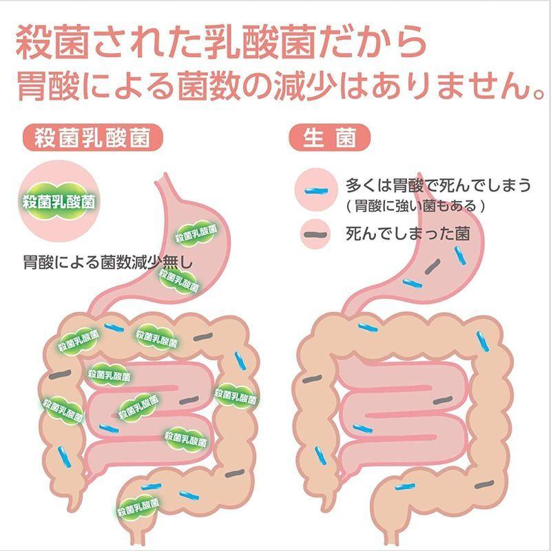 いなば食品 すごい乳酸菌1兆個ドリンク 65ｍｌ166円 驚きの価格が実現 65ｍｌ166円