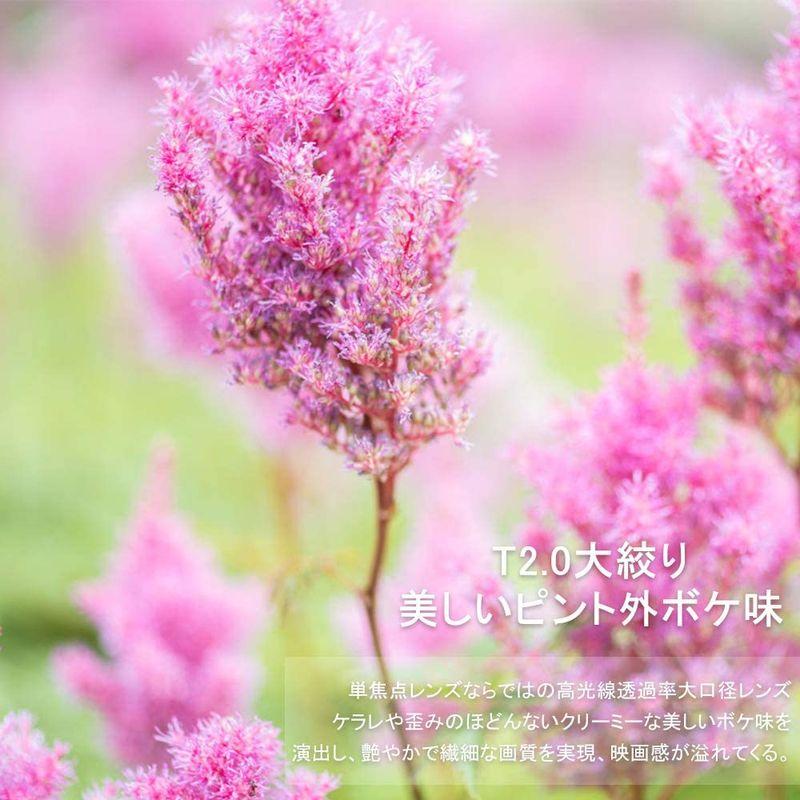 【限定品】 VILTROX S20mm T2.0シネマレンズ 映画撮影用単焦点レンズ フルサイズ 広角 プライムレンズ ソニー Eマウント用 マニュアル 【OCQ9324702088】(32538円)