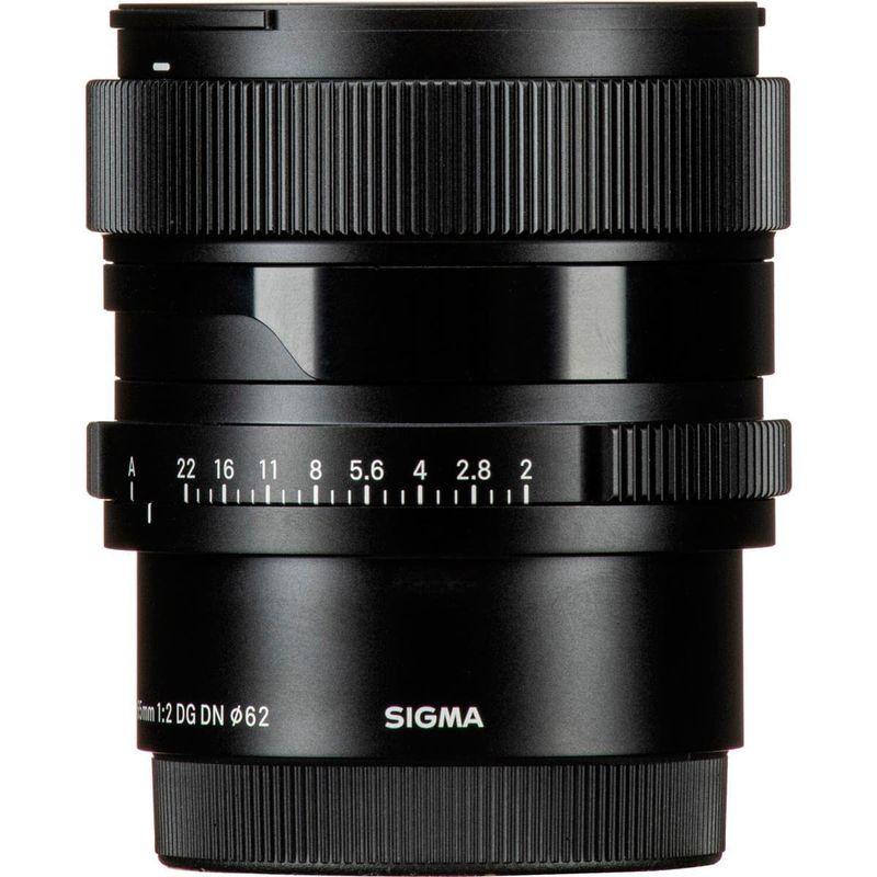 予約販売予約販売65mm F2 DG DN ライカL用 交換レンズ | rogerrule.com