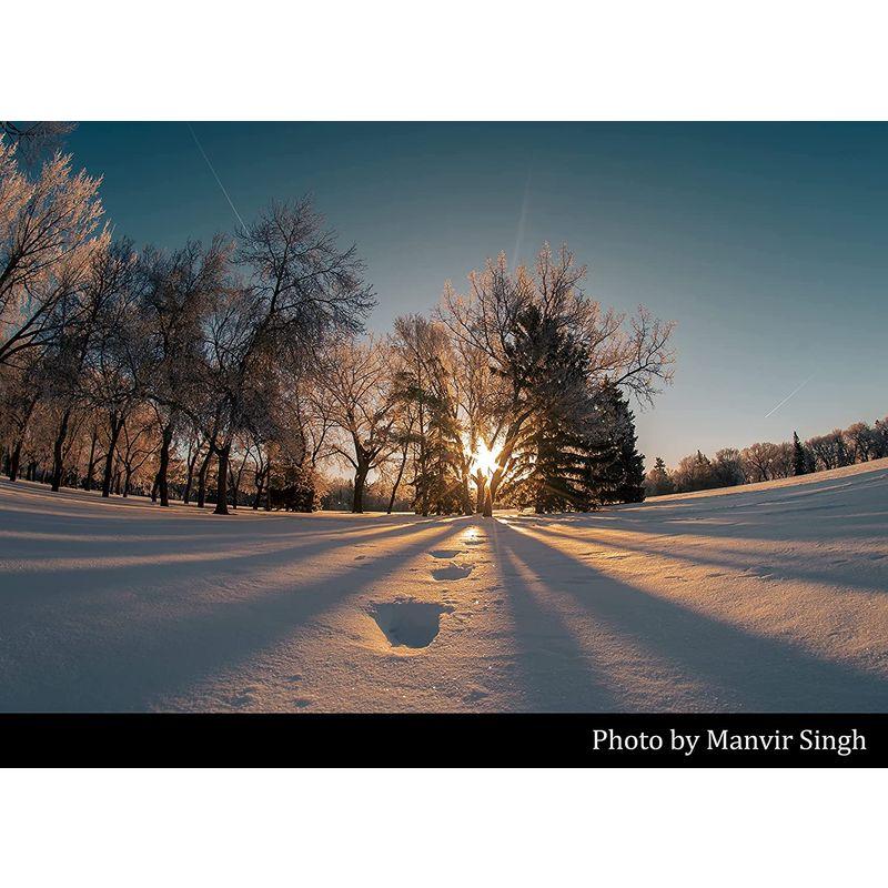 トキナー Tokina 魚眼レンズ SZ 8mm F2.8 E FISH-EYE ソニーEマウント マニュアルフォーカス 対角魚眼180° P1618196500(14349円)