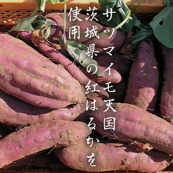 天星（あまぼし） ヒルナンデス　ソレダメ　土曜はナニする？取材品　3.0kg 送料無料  最高糖度79度計測！ 冷凍 茨城県産 さつまいも 紅はるか レンジ 通販 |  | 02