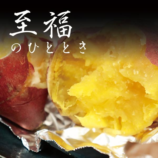 天星（あまぼし） ヒルナンデス　ソレダメ　土曜はナニする？取材品　3.0kg 送料無料  最高糖度79度計測！ 冷凍 茨城県産 さつまいも 紅はるか レンジ 通販 |  | 05