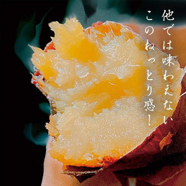 天星（あまぼし） ヒルナンデス　ソレダメ　土曜はナニする？取材品　3.0kg 送料無料  最高糖度79度計測！ 冷凍 茨城県産 さつまいも 紅はるか レンジ 通販 |  | 06