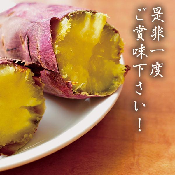 天星（あまぼし） ヒルナンデス　ソレダメ　土曜はナニする？取材品　3.0kg 送料無料  最高糖度79度計測！ 冷凍 茨城県産 さつまいも 紅はるか レンジ 通販 |  | 08