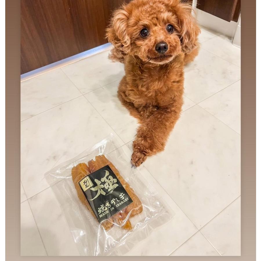 焼き干し芋  天星  極ミニ 200ｇ（100g×２）　和菓子 通販  茨城県産紅はるか使用　ヒルナンデス ソレダメ　土曜はナニする？取材品 |  | 03