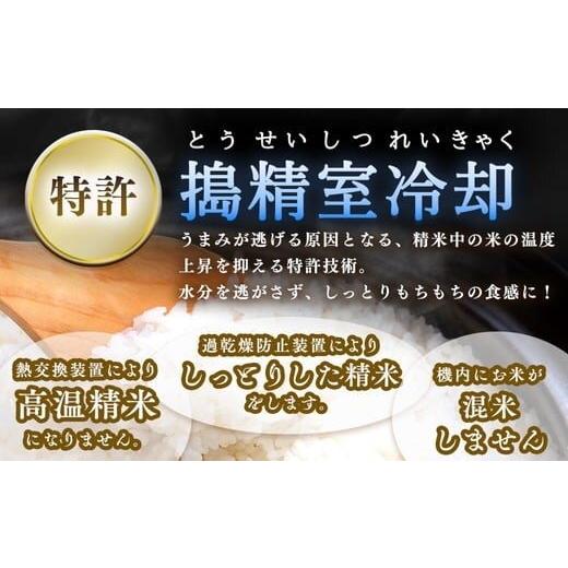 令和7年度 白米 茨城県産 産地直送 コシヒカリ精米5キロ　特売品 |  | 02