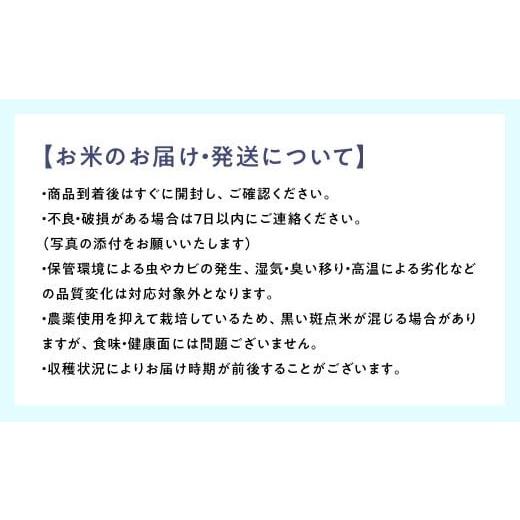 令和7年度 茨城県産コシヒカリ10キロ　精米 |  | 09