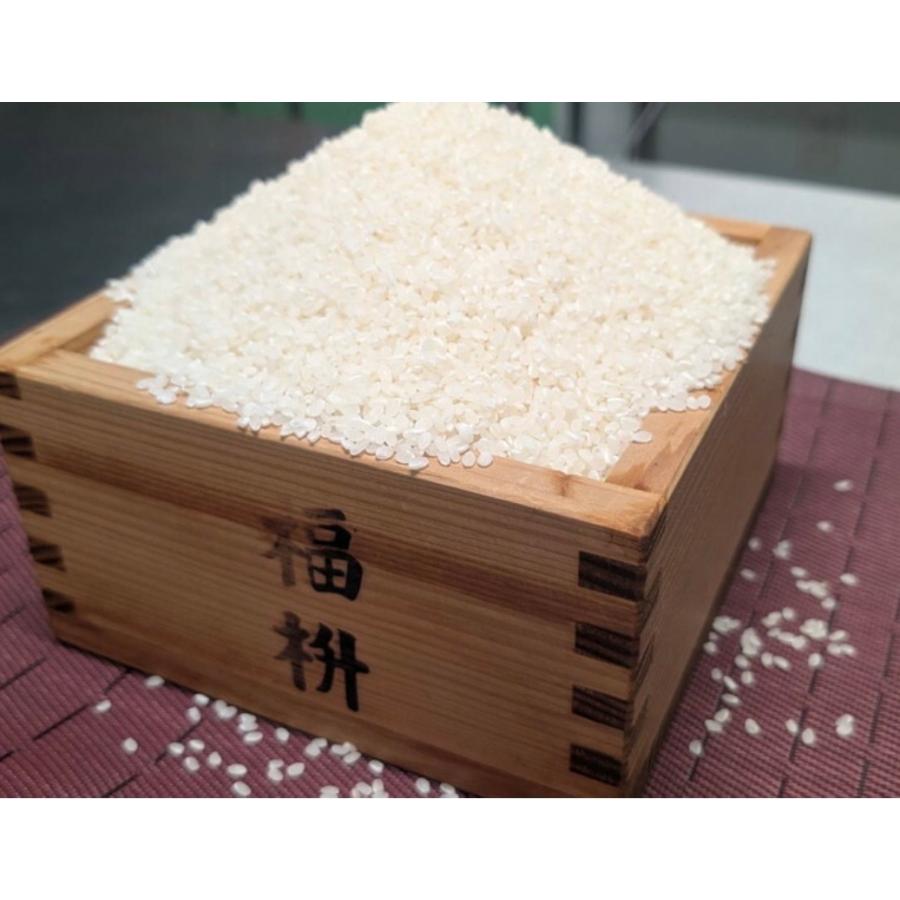 令和7年度 茨城県産 コシヒカリ30キロ 無洗米 | 