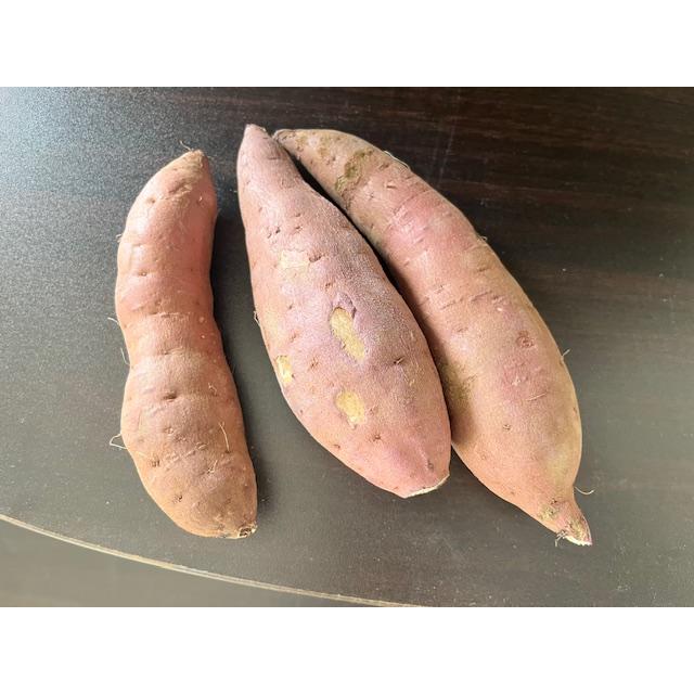 さつまいも 茨城県産【家庭用】紅はるか 4.5kg BSサイズ 小ぶりで使いやすい　 | 