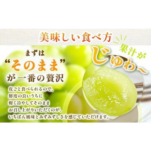 甘熟シャインマスカット 茨城県産　最高糖度26度　産地直送　種なし 皮ごとOK |  | 01