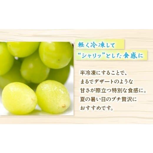甘熟シャインマスカット 茨城県産　最高糖度26度　産地直送　種なし 皮ごとOK |  | 04