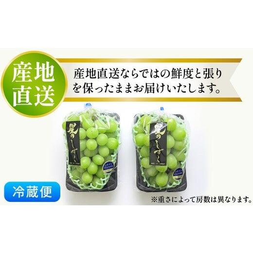 甘熟シャインマスカット 茨城県産　最高糖度26度　産地直送　種なし 皮ごとOK |  | 05
