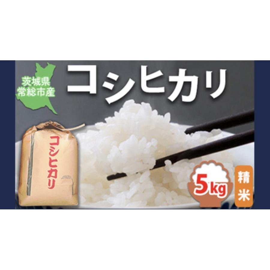 令和8年度 白米 茨城県産 産地直送 コシヒカリ精米5キロ | 