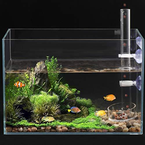 最旬ダウン 熱帯魚 アクアリウム用品 Ledmomo Ledmomo 給餌皿 エビ フィーダーカップ エビ餌 給餌器 餌入れ 水槽用 フィーダー 餌やり器 給餌 チューブ 魚エサ皿 透明 アクリル製 Www Centrodelmobilebassanese It