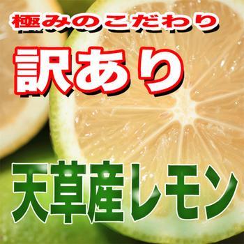 レモン 訳あり 国産 5kg入り 天草オーガニック 4月以降は全国クール便 【クール便】農薬不使用レモン 加工用10kg 愛媛※北海道、東北、沖縄は発送不可