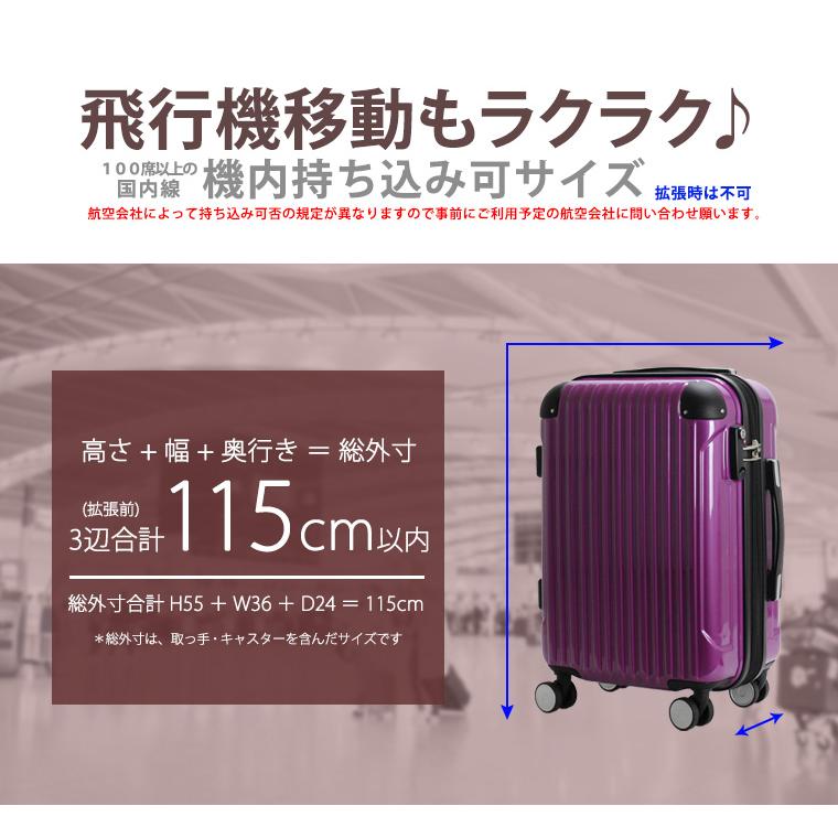 スーツケース 機内持ち込み 軽量 小型 Sサイズ  双輪 キャリーケース キャリーバッグ 旅行かばん ショッピング serio 47cm 1年保証付 B5851T-S｜amakusakaban｜24