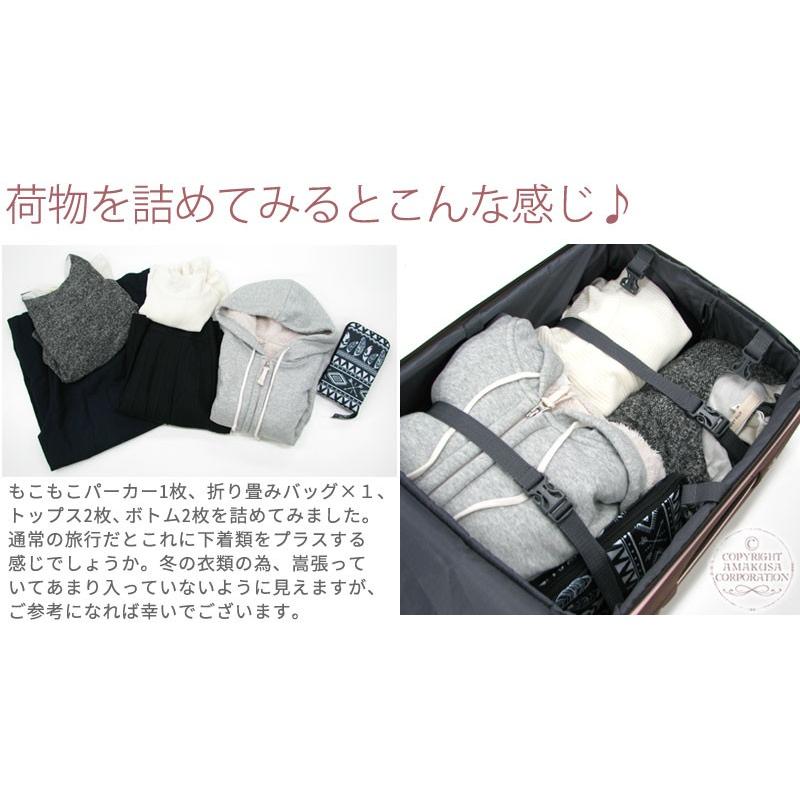 キャリーバッグ 機内持ち込み ソフト Sサイズ 小型 キャリーケース シフレ C9760T 46cm | Siffler | 11