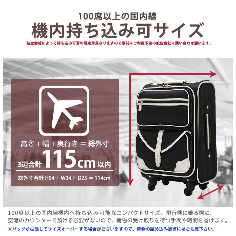 キャリーバッグ 機内持ち込み ソフト Sサイズ 小型 キャリーケース シフレ C9760T 46cm | Siffler | 03