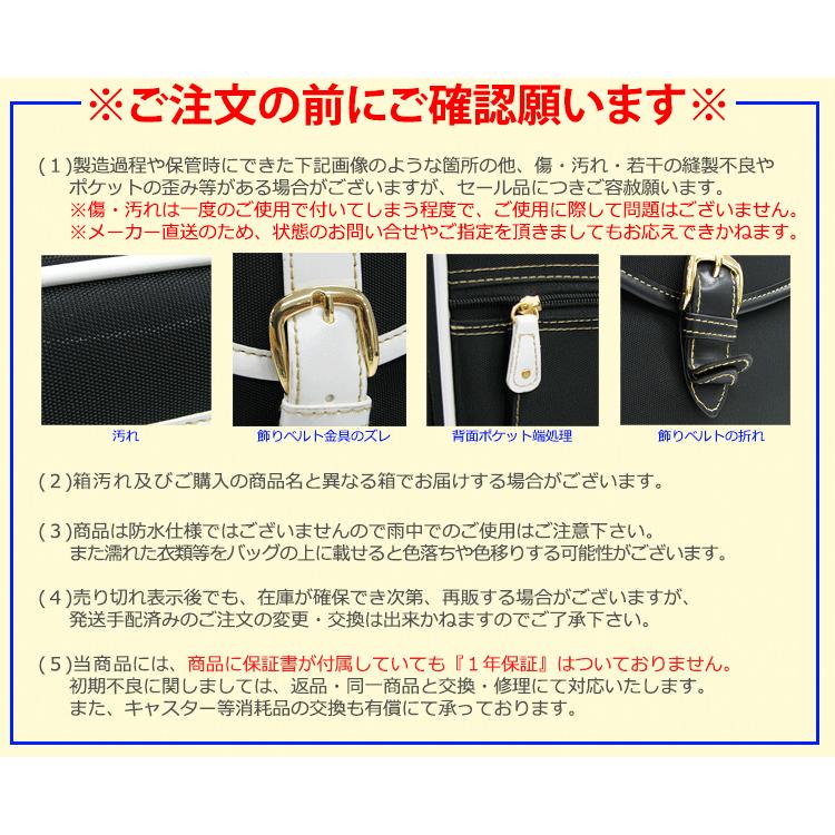 キャリーバッグ 機内持ち込み ソフト Sサイズ 小型 キャリーケース シフレ C9760T 46cm | Siffler | 16