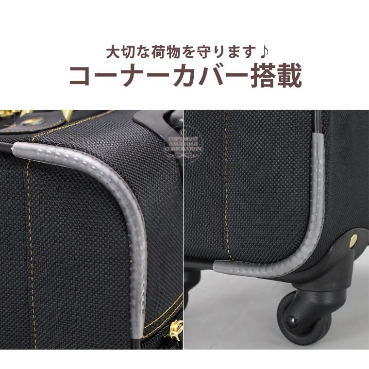 キャリーバッグ 機内持ち込み ソフト Sサイズ 小型 キャリーケース シフレ C9760T 46cm | Siffler | 05