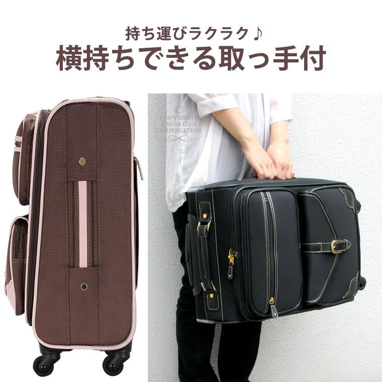 キャリーバッグ 機内持ち込み ソフト Sサイズ 小型 キャリーケース シフレ C9760T 46cm | Siffler | 06