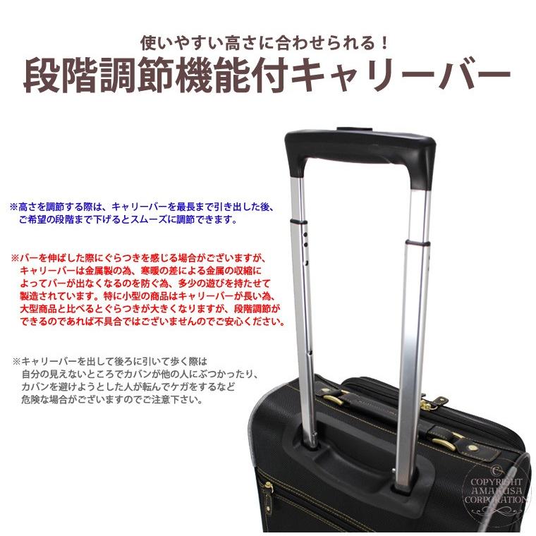 Siffler キャリーバッグ 機内持ち込み ソフト Sサイズ 小型 キャリー