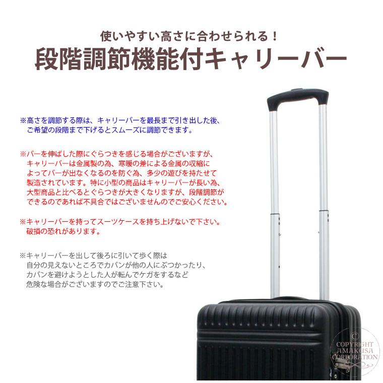 スーツケース キャリーケース キャリーバッグ 機内持ち込み Sサイズ 小型 双輪キャスター シフレ 1年保証付 ESC2280 48cm 32L｜amakusakaban｜08