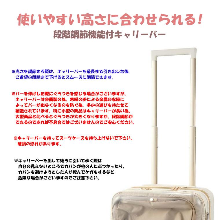 Siffler（シフレ） 【最大11％OFFクーポン7/20まで】カプセルキャリー 