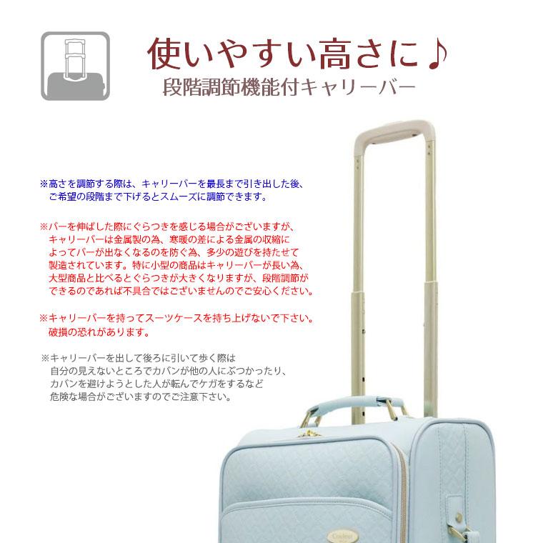 Siffler 【最大15%OFFクーポン4/30まで】OUTLET ソフトキャリー Siffler 【最大15%OFFクーポン4/30まで】OUTLET ソフトキャリー