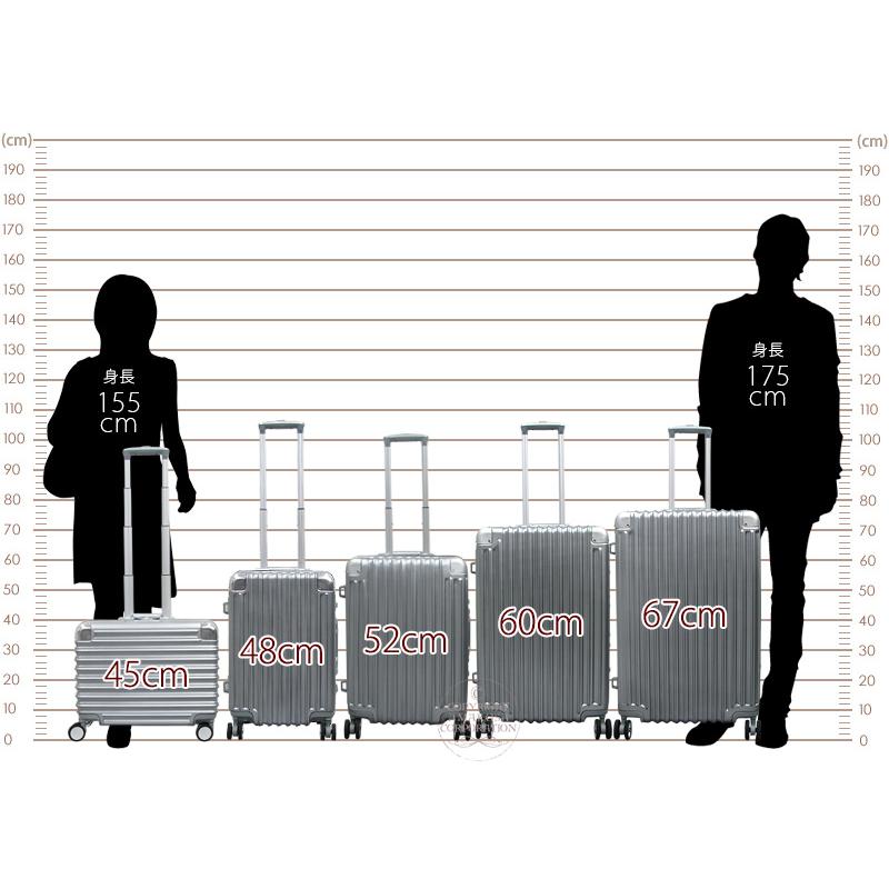 スーツケース Lサイズ 大型 無料受託手荷物最大サイズ 軽量 キャリーケース 5年保証付 シフレ TRIDENT トライデント TRI1030 67cm 92L｜amakusakaban｜11