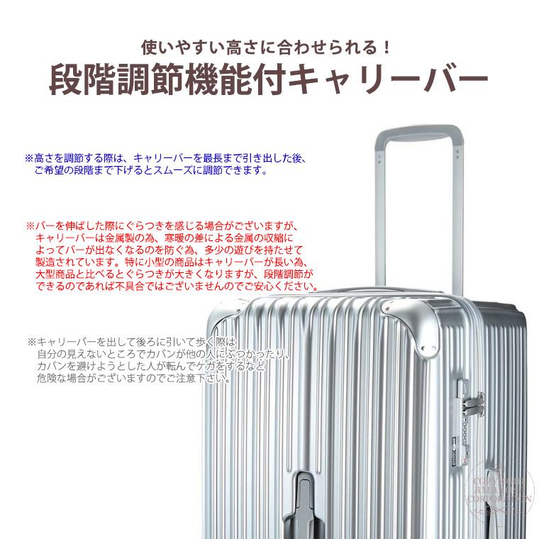 Siffler（シフレ） スーツケース BOX型 キャリーケース Lサイズ 大型