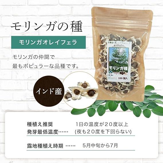 公式 モリンガの種 自家栽培 家庭菜園用 モリンガオレイフェラ