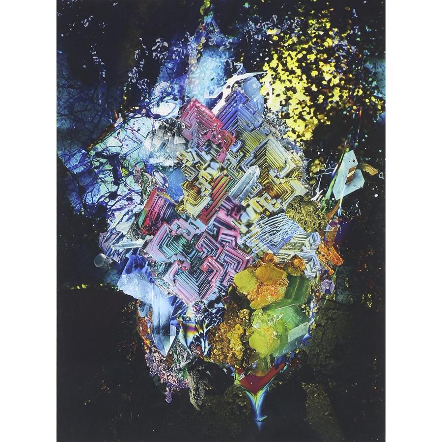 RADWIMPS Xと と罪と 初回生産限定盤 CDアルバム｜Yahoo!フリマ（旧