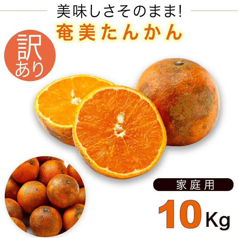 奄美大島 訳あり たんかん タンカン みかん ご家庭用 10kg 奄美大島 訳あり たんかん タンカン みかん ご家庭用 10kg