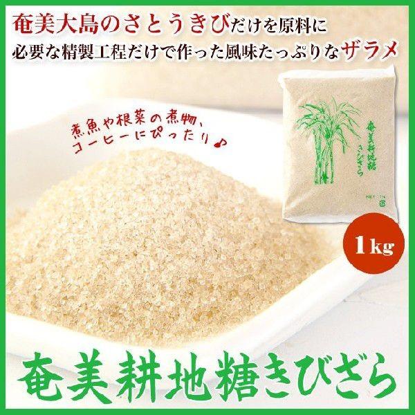 奄美 耕地糖黒砂糖 きびざらめ 黒糖ザラメ 富国製糖 1kg×20袋 奄美大島