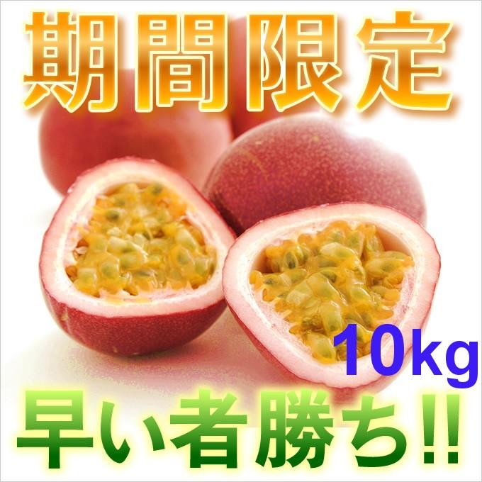食品 【訳あり】パッションフルーツ10kg