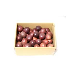 訳ありパッションフルーツ10kg パッションフルーツ10kg 時計草 奄美 