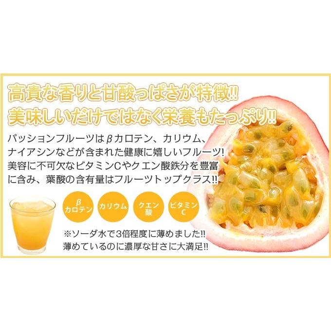 食品 【訳あり】パッションフルーツ10kg