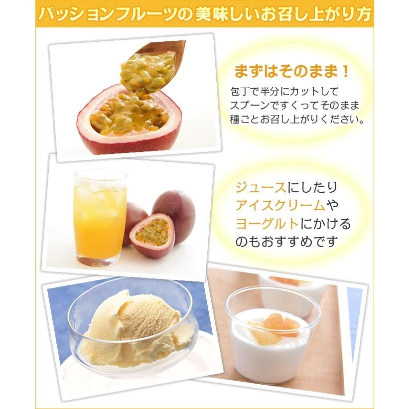 訳ありパッションフルーツ10kg パッションフルーツ10kg 時計草 奄美 